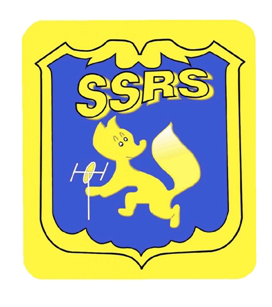 ssrs 2018